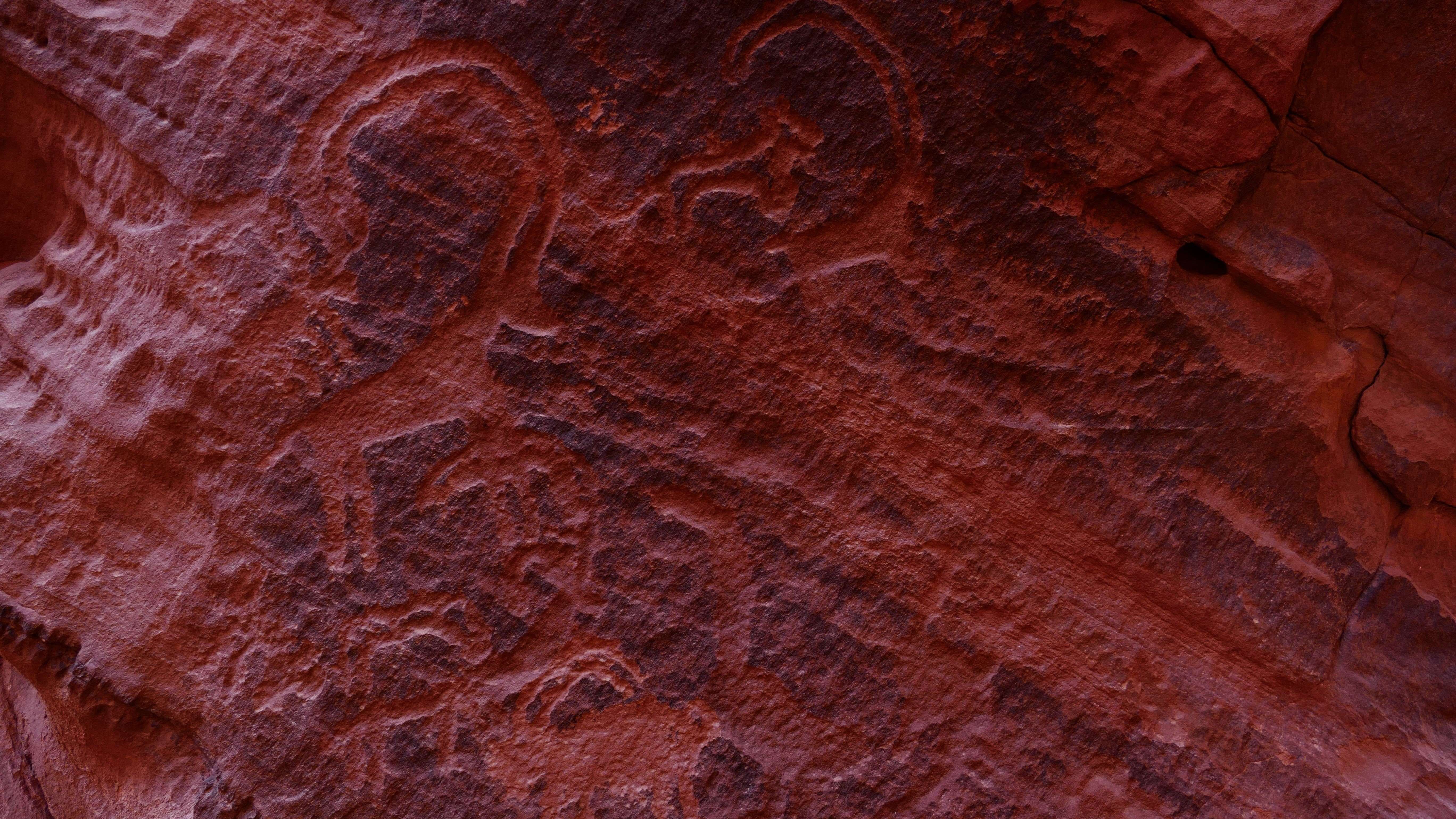 Ibex rock art wadi rum trail