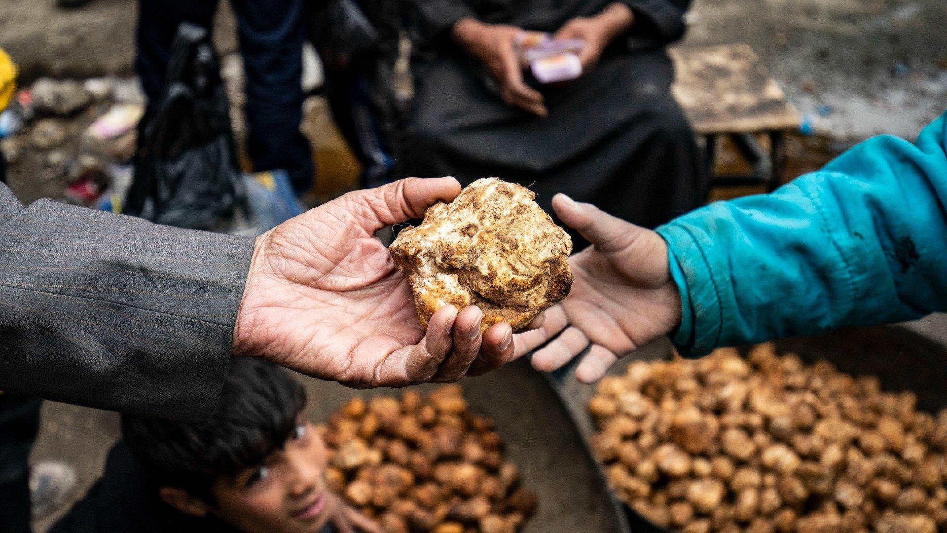 A customer buys a desert truffle from a merchant in a market in Syria's northeastern city of Raqqa on 14 March (AFP)
